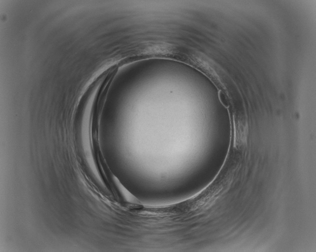 X0000065980435200603101426