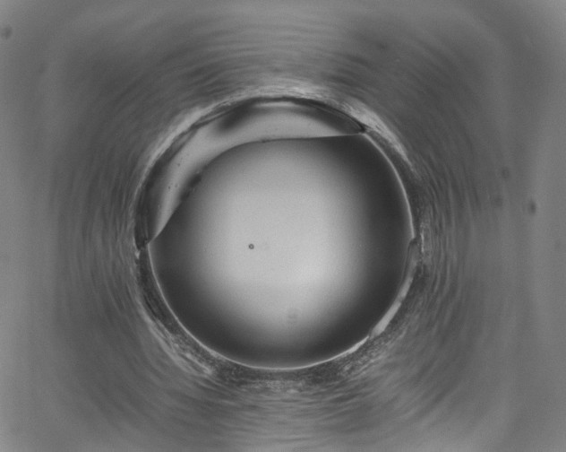 X0000065980436200603101426