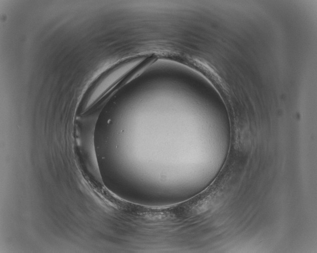 X0000065980439200603101426