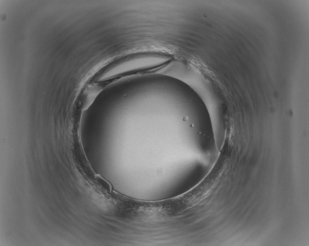 X0000065980440200603101426