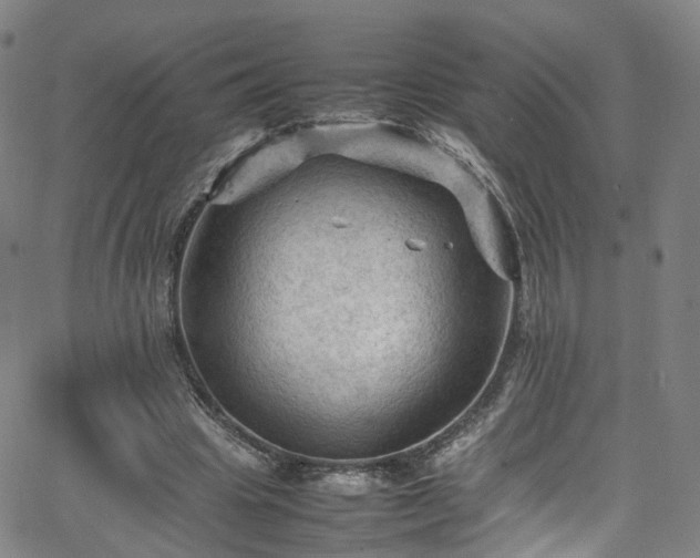 X0000065980441200603101426