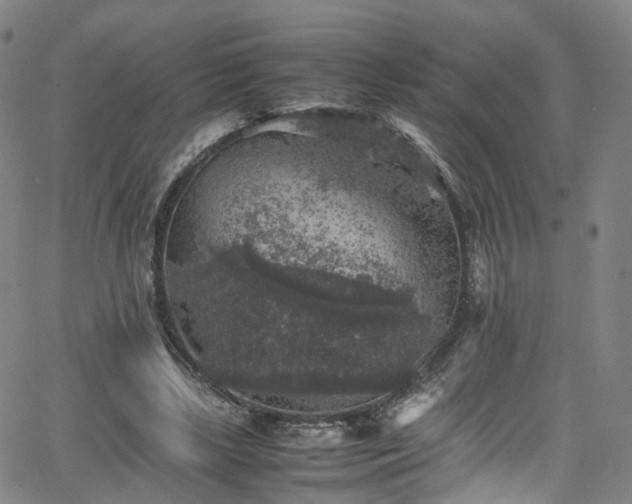 X0000065980443200603101426