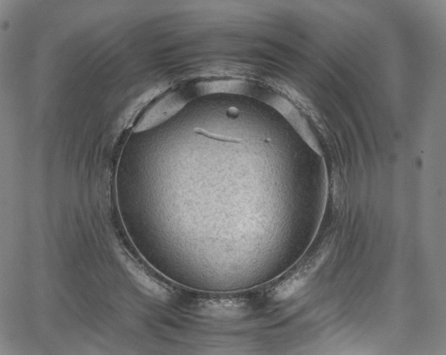 X0000065980445200603101426