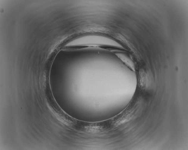 X0000065980448200603101426