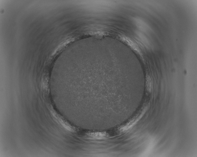 X0000065980449200603101426