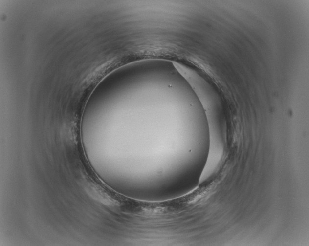 X0000065980450200603101426