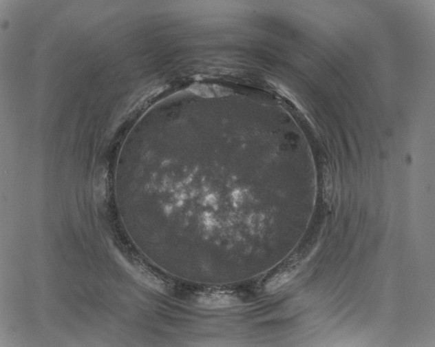 X0000065980451200603101426