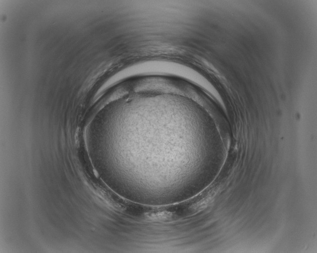 X0000065980452200603101426