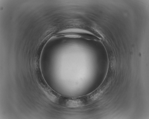 X0000065980455200603101426