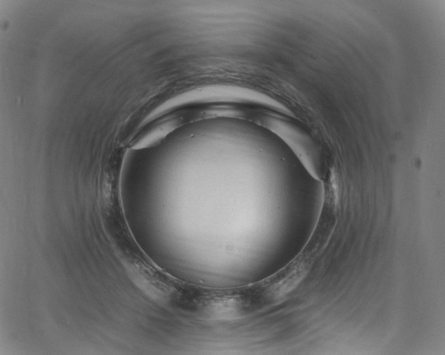 X0000065980456200603101426