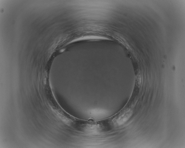 X0000065980458200603101426