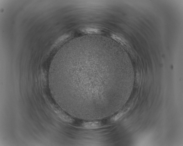 X0000065980461200603101426