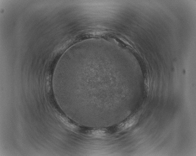 X0000065980462200603101426