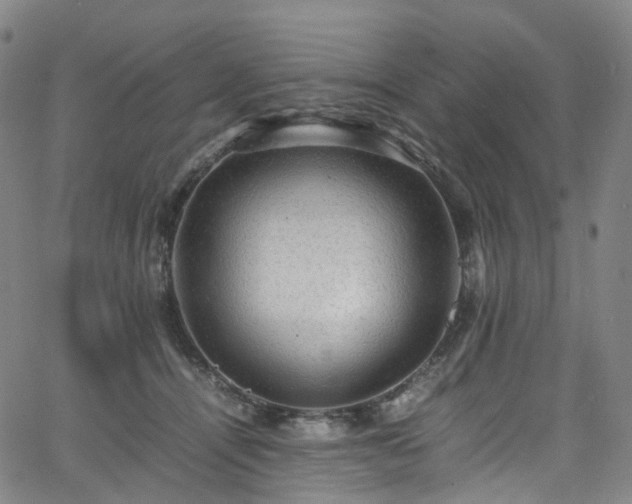 X0000065980464200603101427