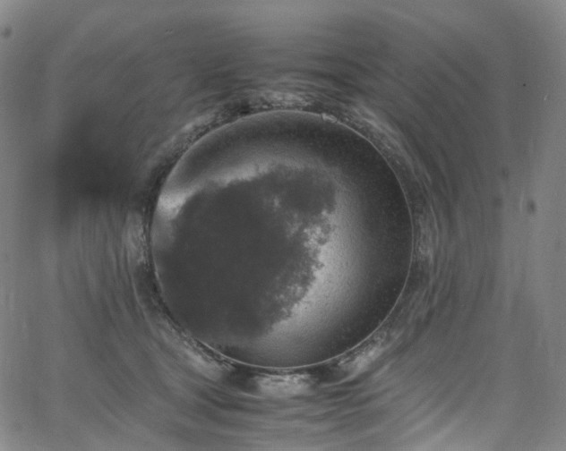 X0000065980465200603101427