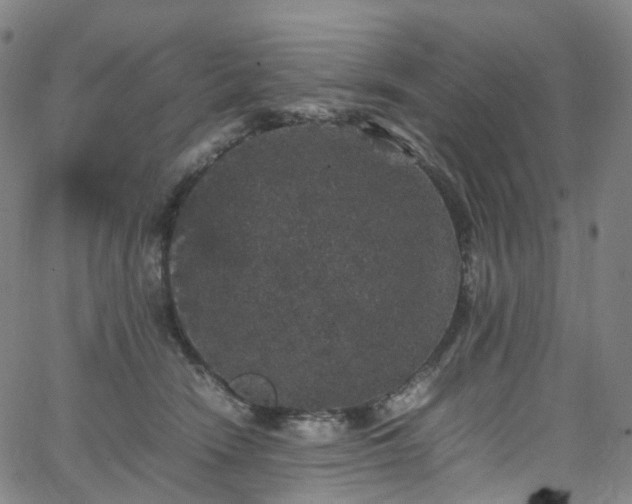 X0000065980466200603101427