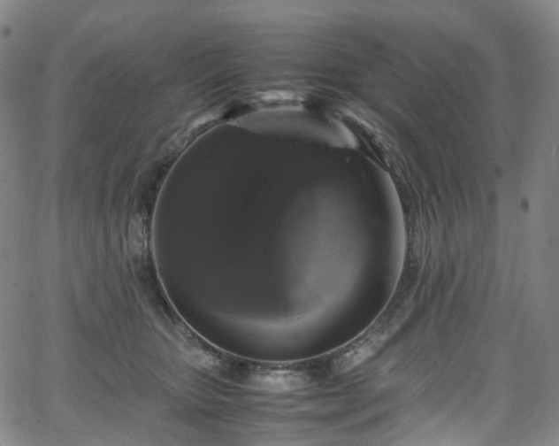 X0000065980467200603101427