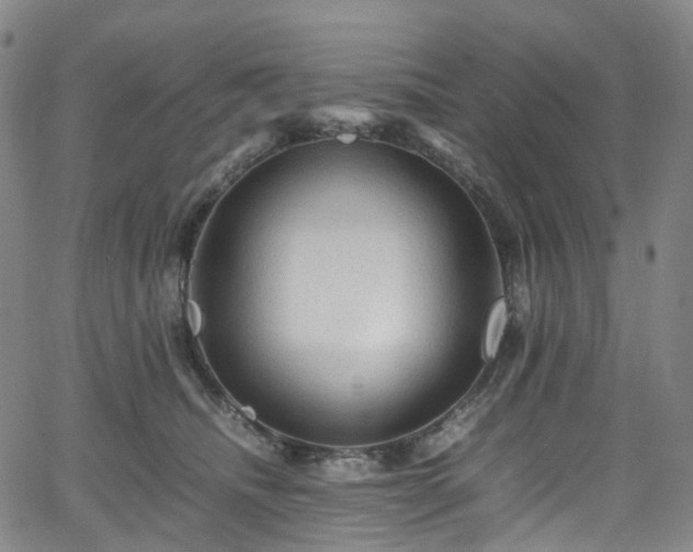 X0000065980468200603101427