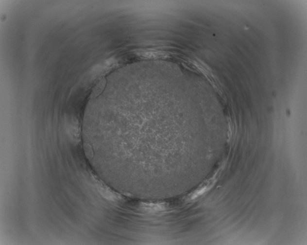 X0000065980469200603101427