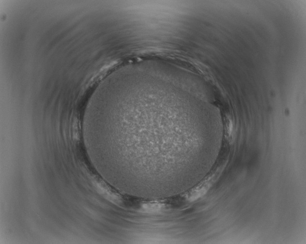 X0000065980470200603101427