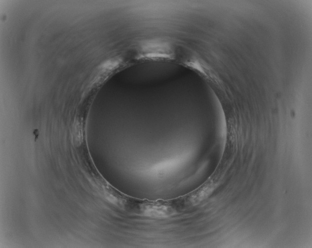 X0000065980471200603101427