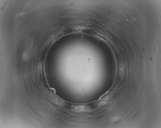 X0000065980473200603101427