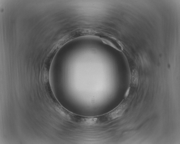 X0000065980474200603101427