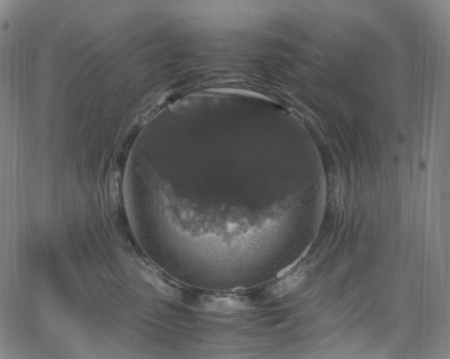 X0000065980475200603101427