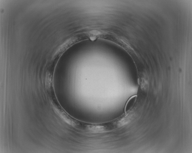 X0000065980476200603101427