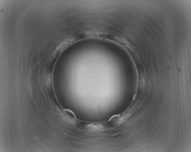 X0000065980477200603101427