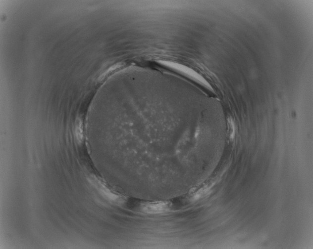 X0000065980479200603101427