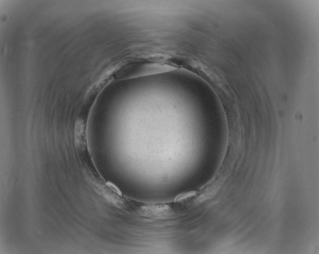 X0000065980480200603101427