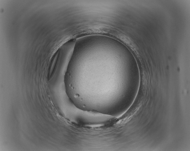 X0000065980481200603101426