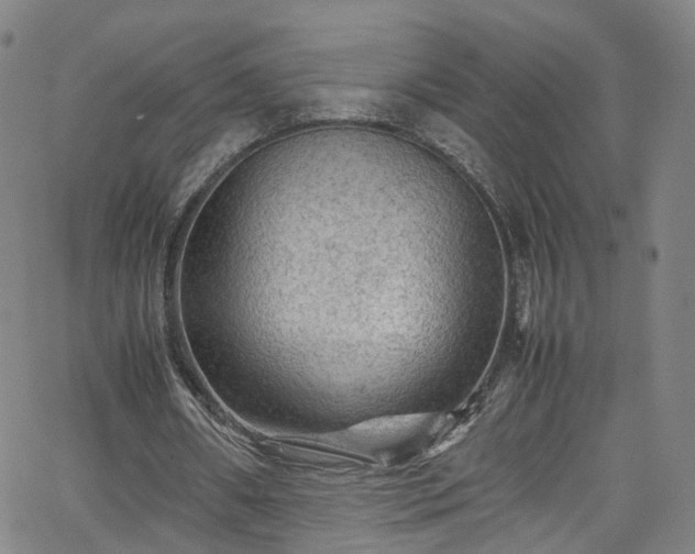 X0000065980482200603101426