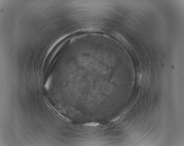 X0000065980484200603101426