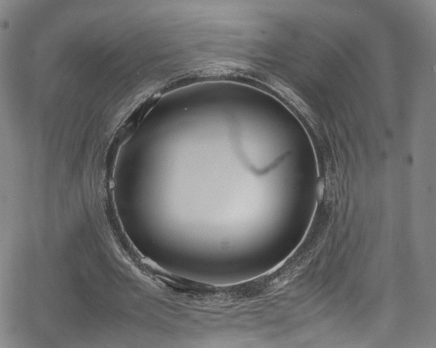 X0000065980485200603101426