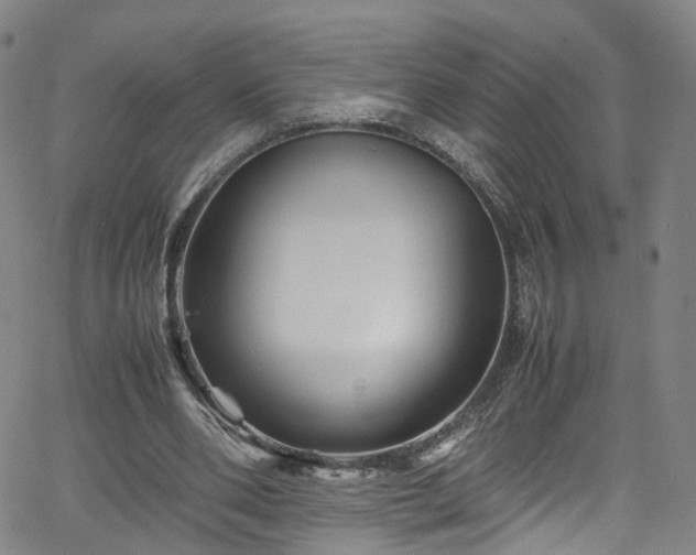 X0000065980486200603101426