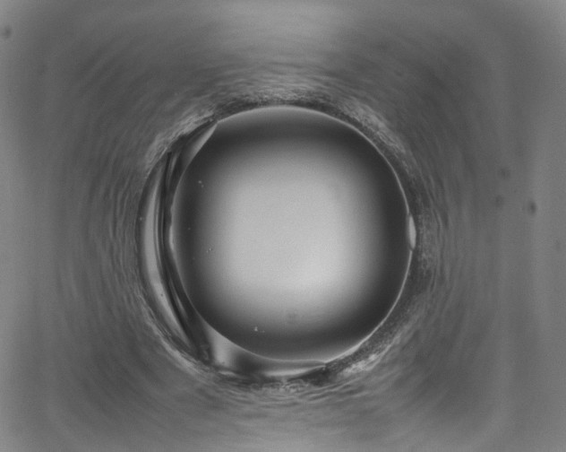 X0000065980489200603101426