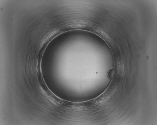 X0000065980490200603101426