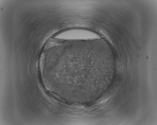 X0000065980491200603101426