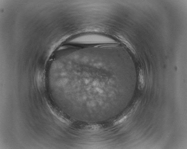 X0000065980492200603101426