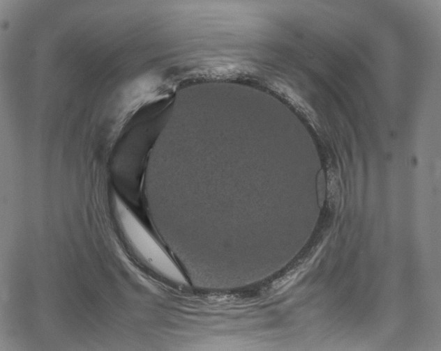 X0000065980493200603101426