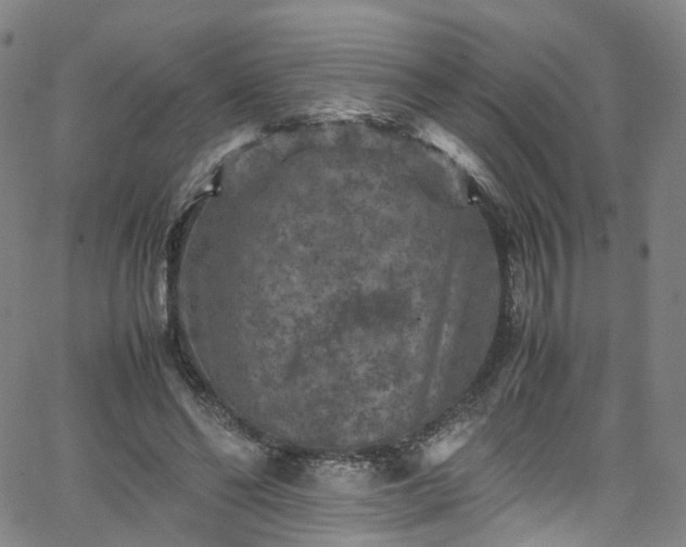 X0000065980494200603101426