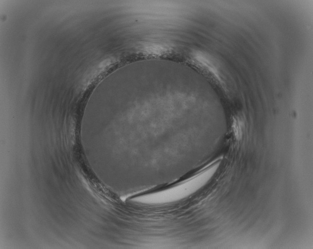 X0000065980496200603101426