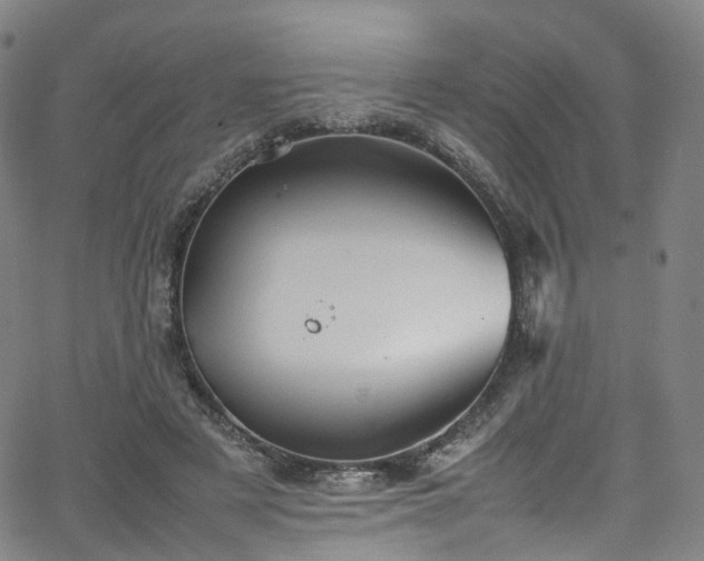 X0000065980497200603101426