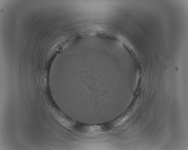 X0000065980501200603101426