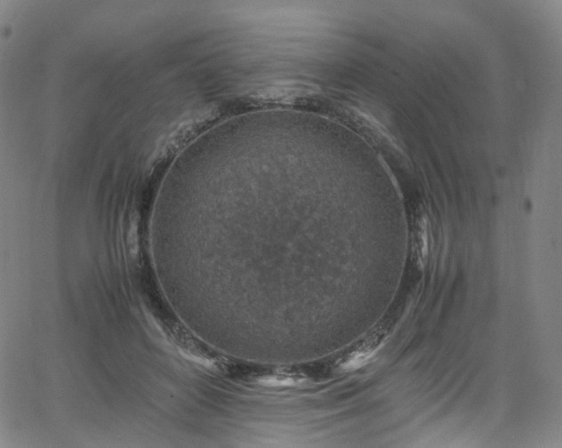 X0000065980504200603101426