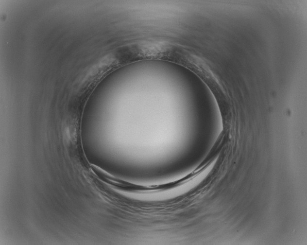 X0000065980505200603101426