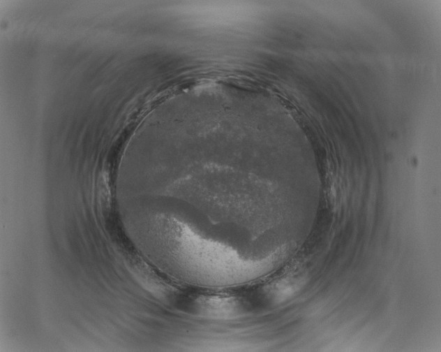 X0000065980506200603101426