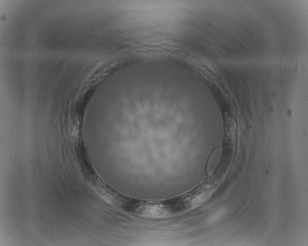 X0000065980507200603101426